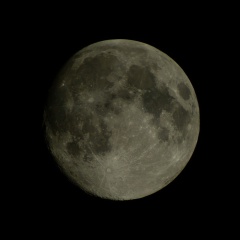 moon001-standard-scale-2 00x