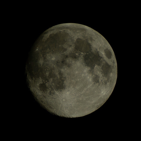 moon001-standard-scale-2_00x.jpg