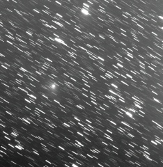 273P 15x2min-standard-scale-2 00x