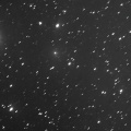 63P Wild 16x2min-standard-scale-2 00x