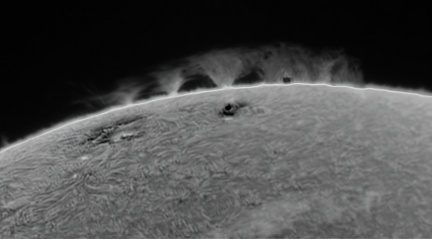Sun 8 8 2016-standard-scale-2 00x