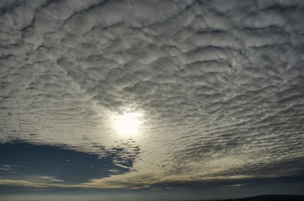 altocumulus 01-standard-scale-2 00x