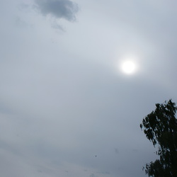 Cirrostratus