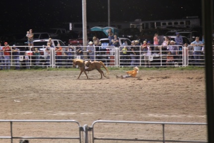 SE2017 027-standard-scale-1 45x