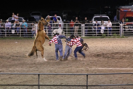 SE2017 028-standard-scale-1 45x