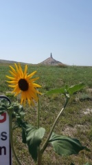 SE2017 035-standard-scale-1 45x