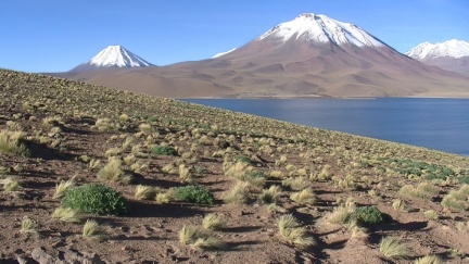 Imageb007-standard-scale-1 45x