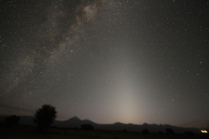 IMG 0431-standard-scale-1 45x