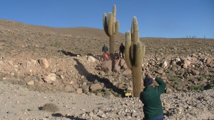 PIC 7894-standard-scale-1 45x