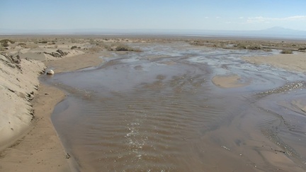 PIC 8257-standard-scale-1 45x