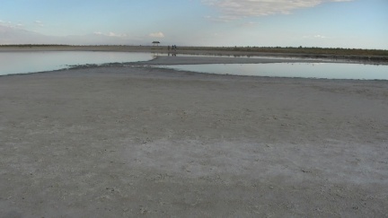 PIC 8287-standard-scale-1 45x