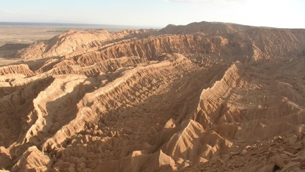 PIC 8438-standard-scale-1 45x