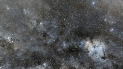 Cepheus