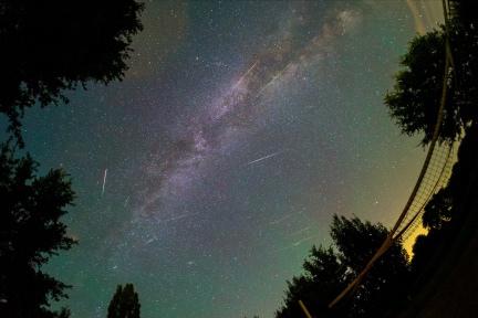 Perseidák, 2023