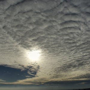 Altocumulus