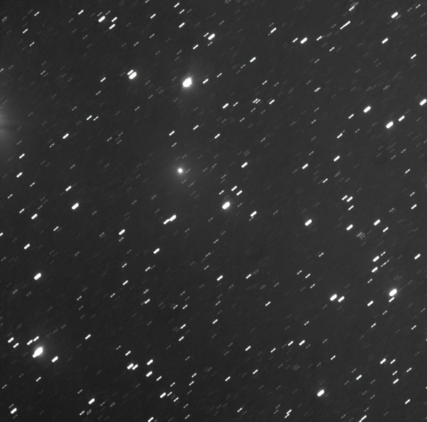 63P Wild 16x2min-standard-scale-2 00x