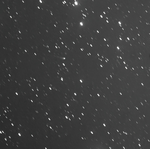 C2011J2Linear 16x2min-standard-scale-2 00x