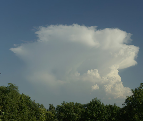cumulunimbus 01-standard-scale-1 70x