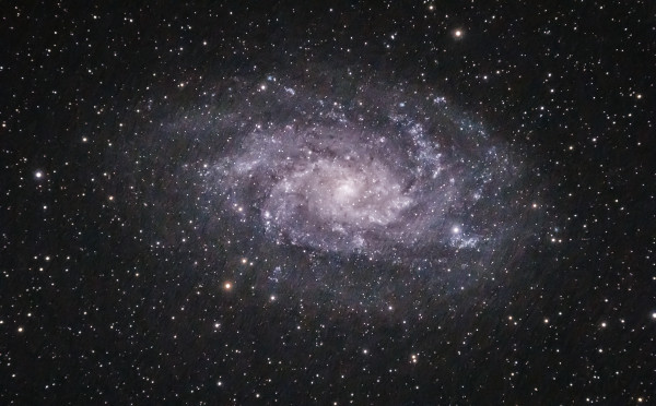 Triangulum Galaxy (M33)